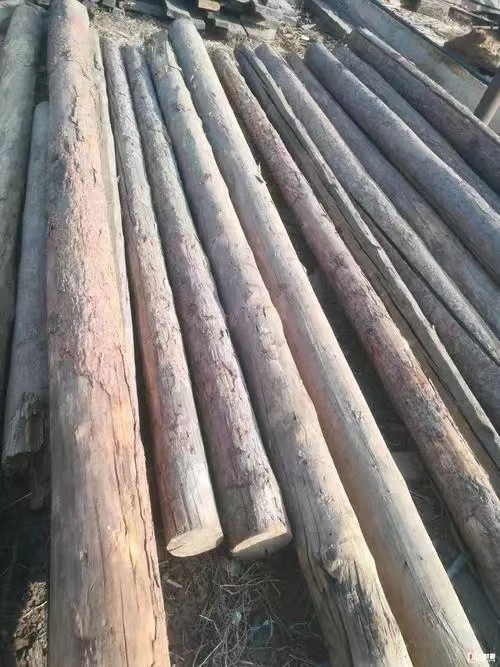出售木头檩条松木檩条檩子
