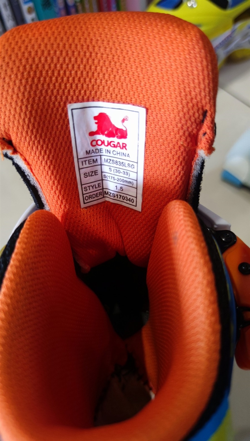 美洲狮儿童轮滑