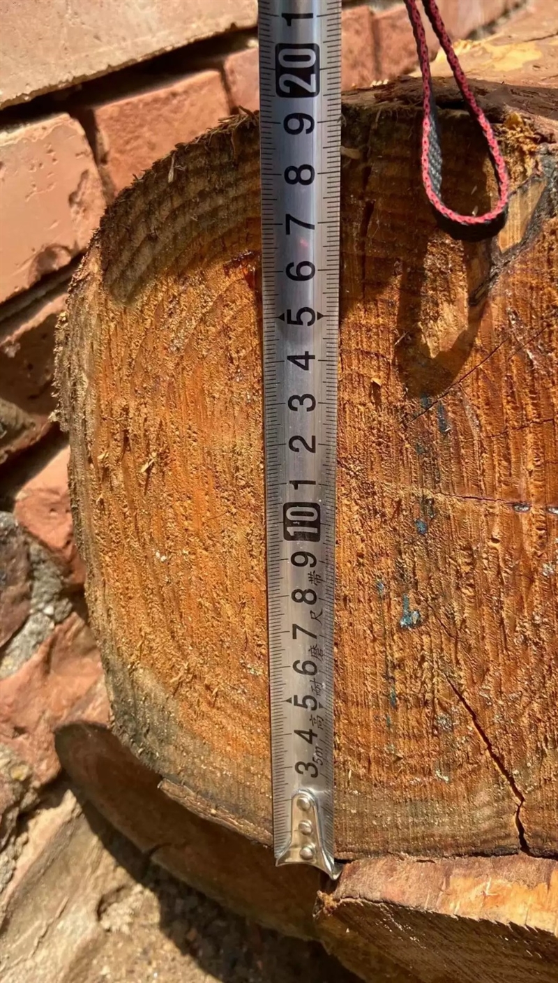 出售木头檩条松木檩条建筑檩子