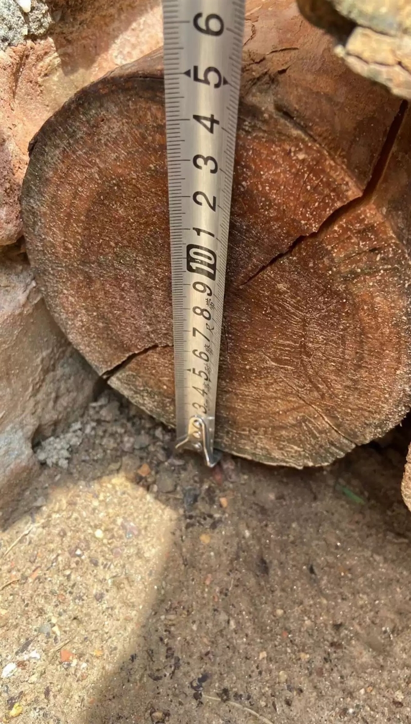 出售木头檩条松木檩条建筑檩子