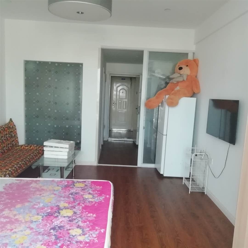 城南领海公馆,一室精装电梯公寓,东向,拎包入住