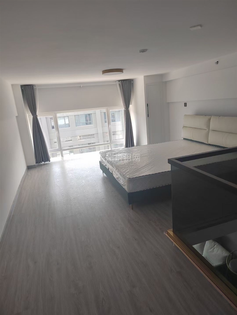 瑞莱首府精装复试公寓,全屋品牌家具家电,电梯房,拎包入住