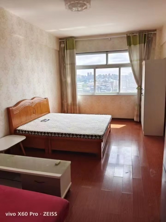 出租星辉大厦公寓楼 精装 商住两用