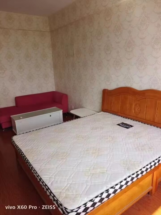 出租星辉大厦公寓楼 精装 商住两用