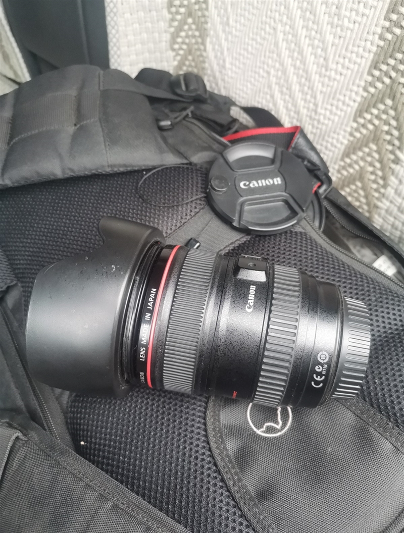 出售:佳能24-105红圈镜头