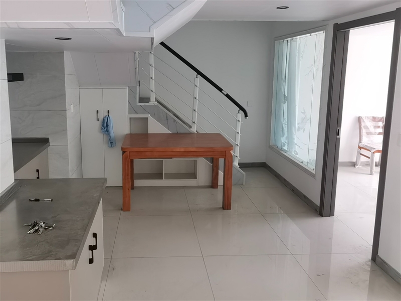 瑞莱复试公寓,大平方,商住两用,精装电梯房,带家具家电
