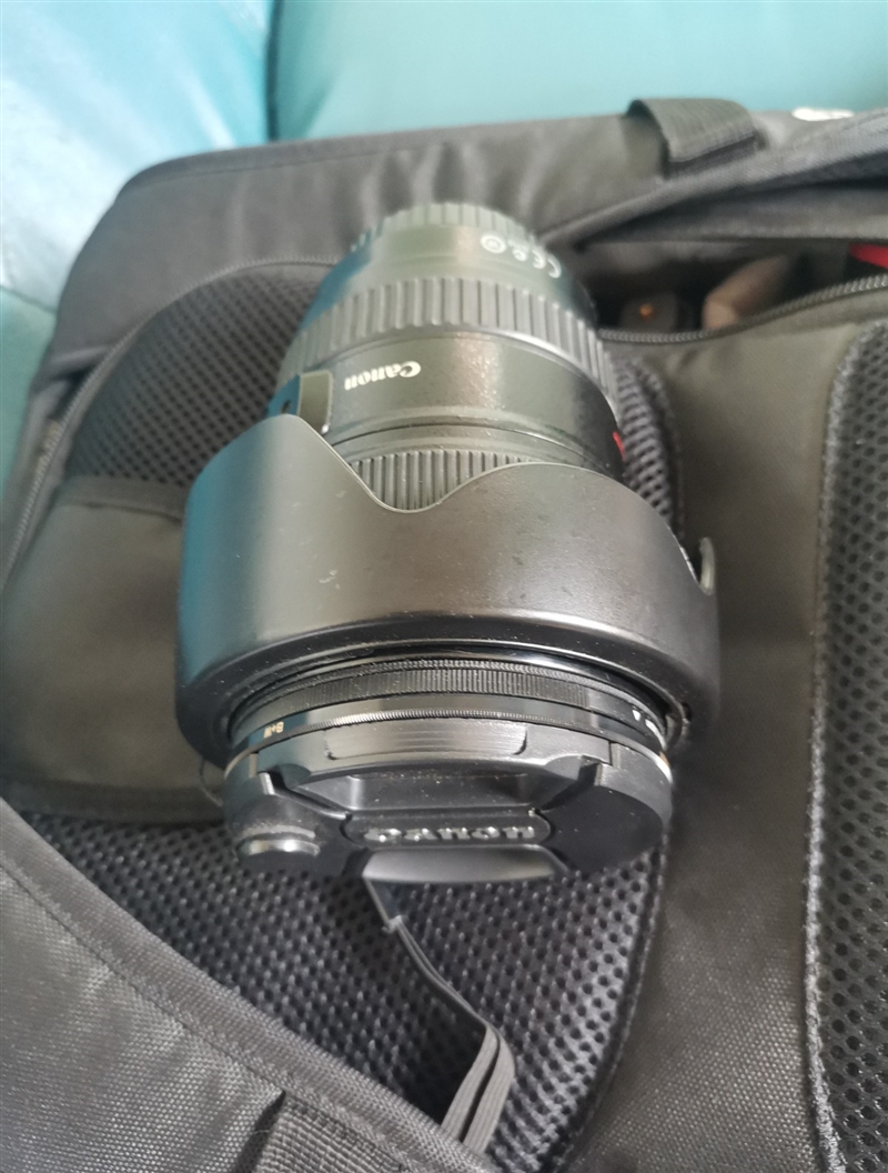 出售:佳能24-105红圈镜头一个