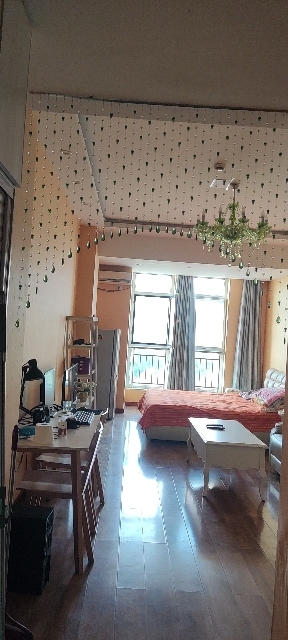 出租府东苑单身公寓拎包入住