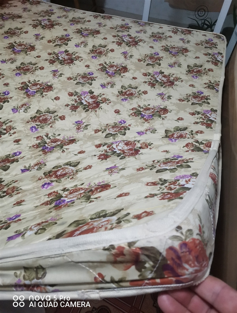 出售:床垫子一床