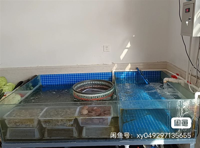 现因店铺更改经营模式 低价出售海鲜鱼缸
