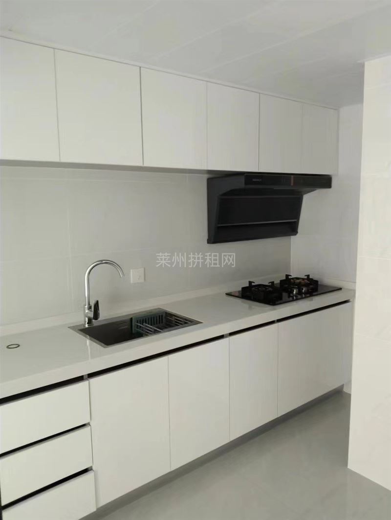 瑞莱复试公寓,两间商住两用,精装电梯房,带家具家电,拎包入住