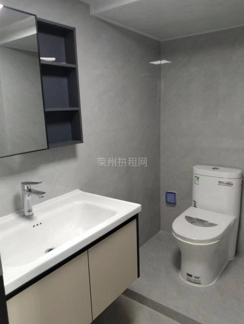 瑞莱复试公寓,两间商住两用,精装电梯房,带家具家电,拎包入住