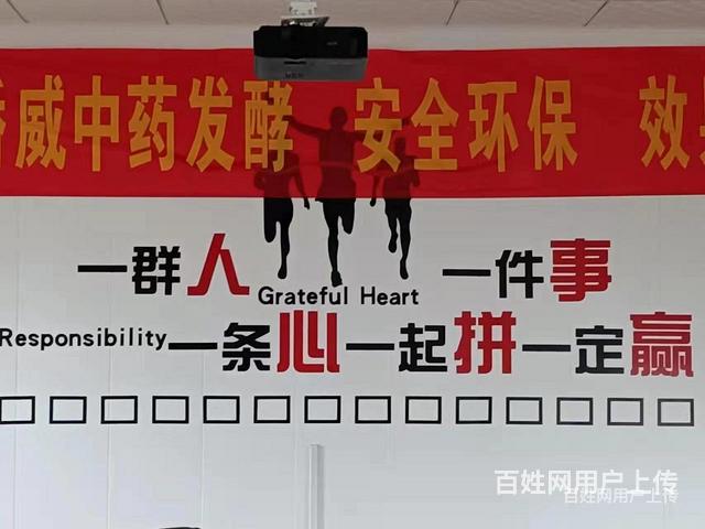 莱州猪饲料厂家电话是多少
