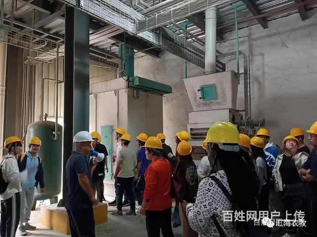 莱州猪饲料厂家电话是多少