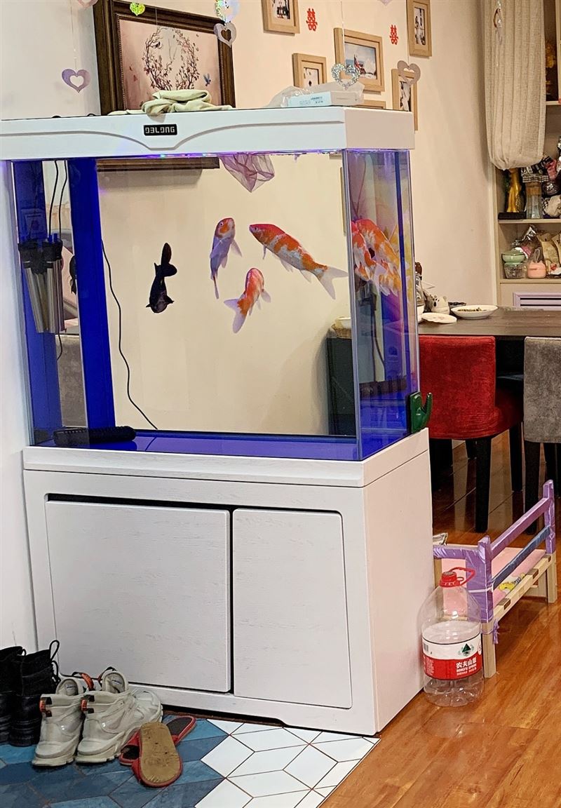 便宜出售一米鱼缸