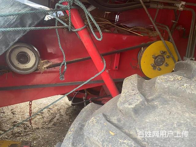 春雨大70
