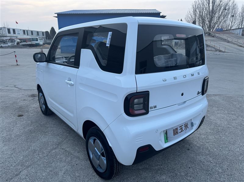 2025年11月吉利熊猫耐力熊