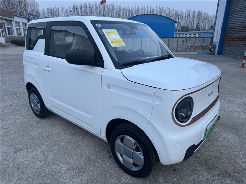 2025年11月吉利熊猫耐力熊