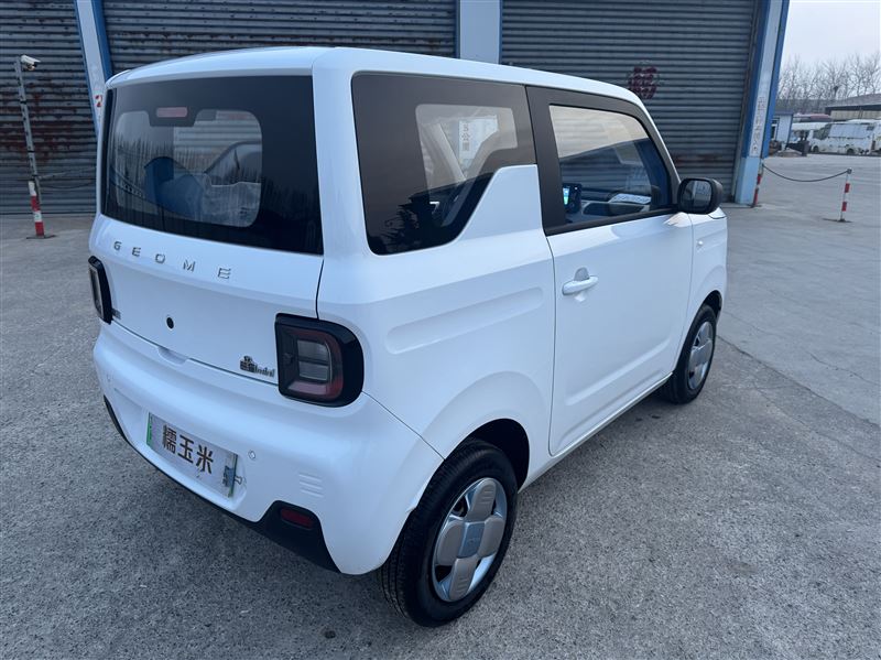 2025年11月吉利熊猫耐力熊