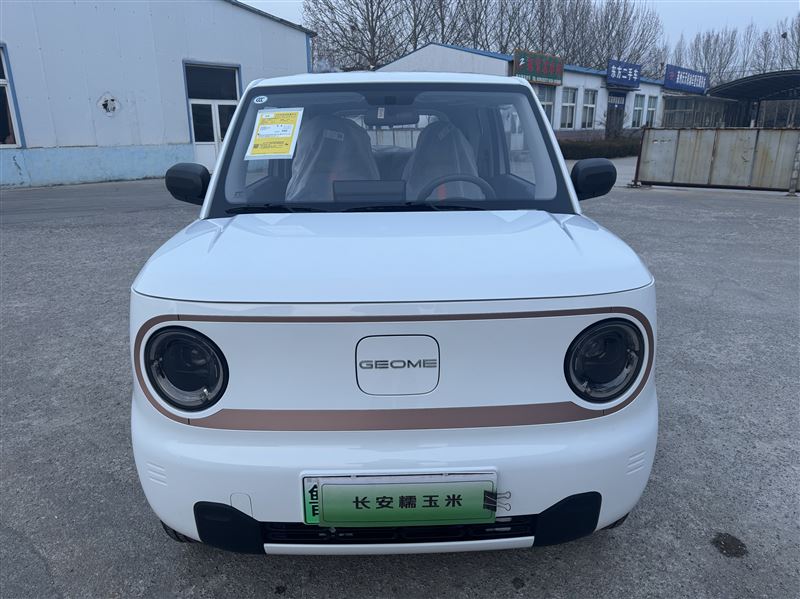 2025年11月吉利熊猫耐力熊