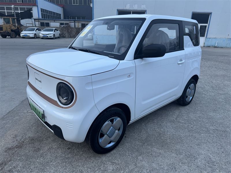 2025年11月吉利熊猫耐力熊